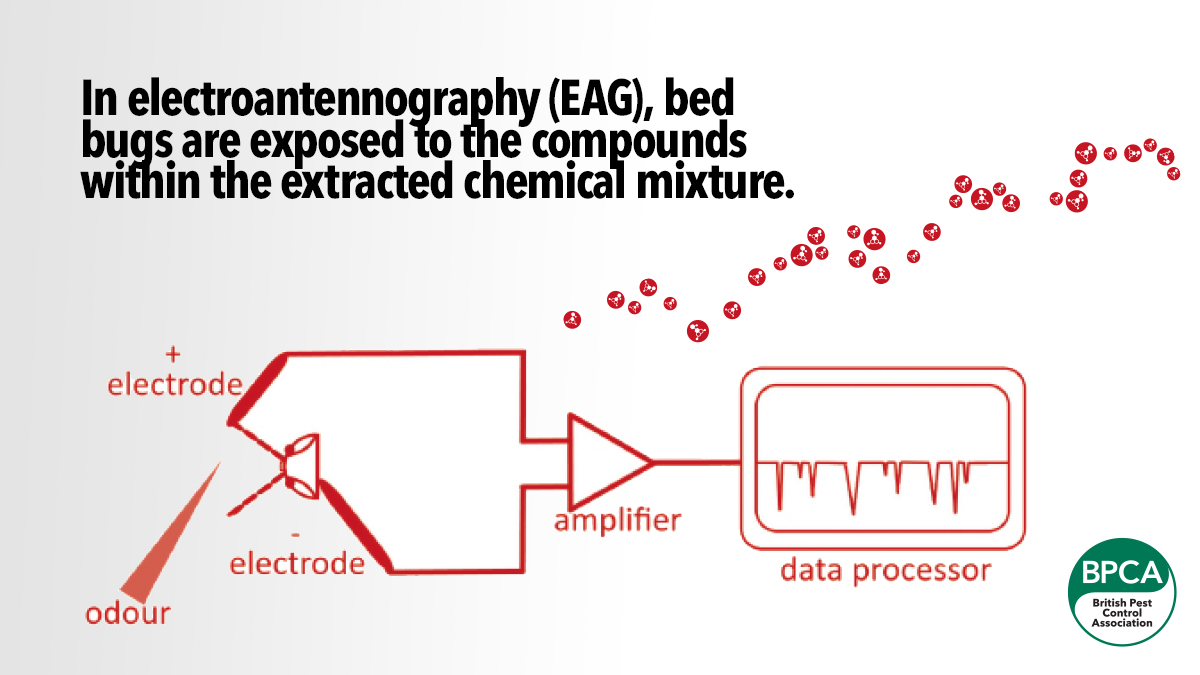 the-science-of-smell-main-image2